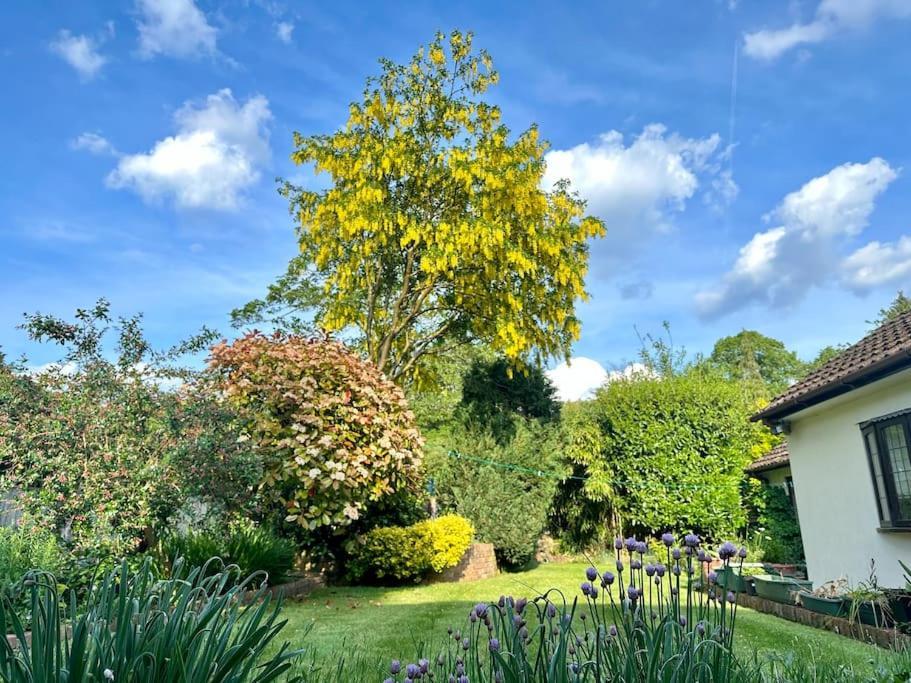 Linden Suite Goring Exteriér fotografie